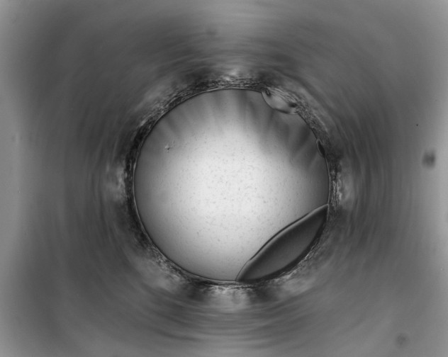 X0000099520520200805291214