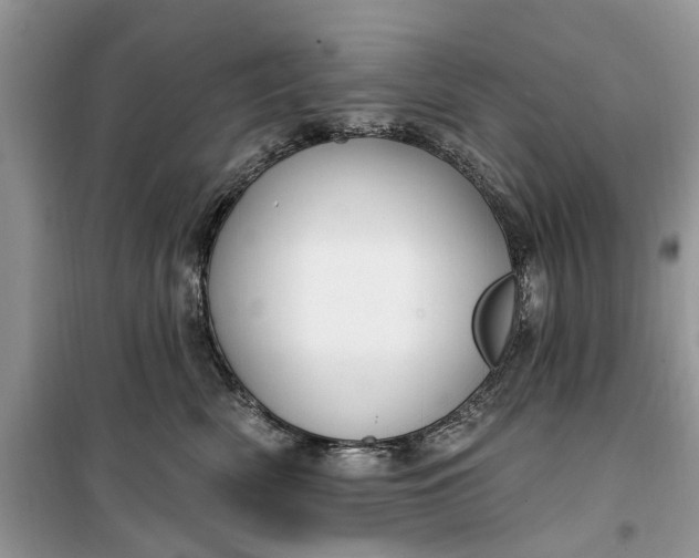 X0000099520522200805291214