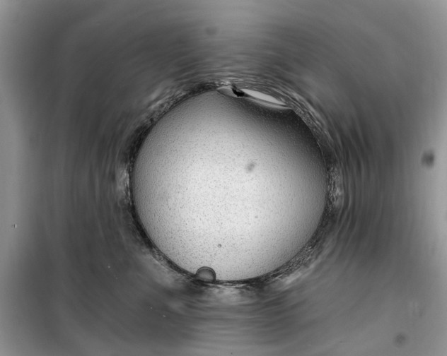 X0000099520523200805291214