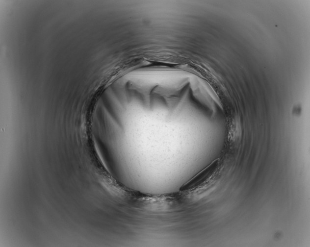 X0000099520524200805291214