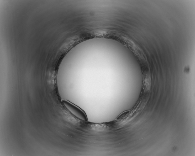 X0000099520525200805291214