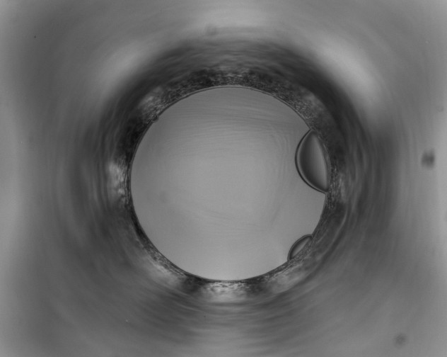 X0000099520526200805291214