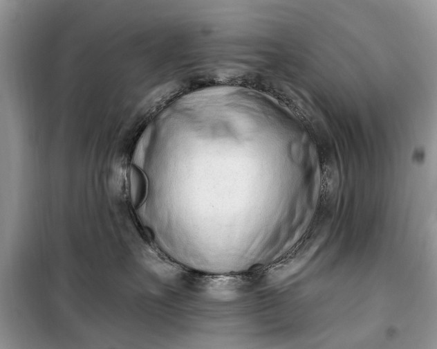 X0000099520527200805291214