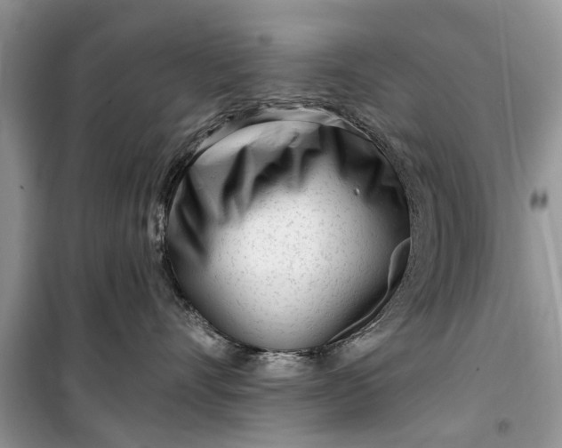 X0000099520528200805291214