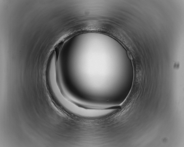 X0000099520530200805291213