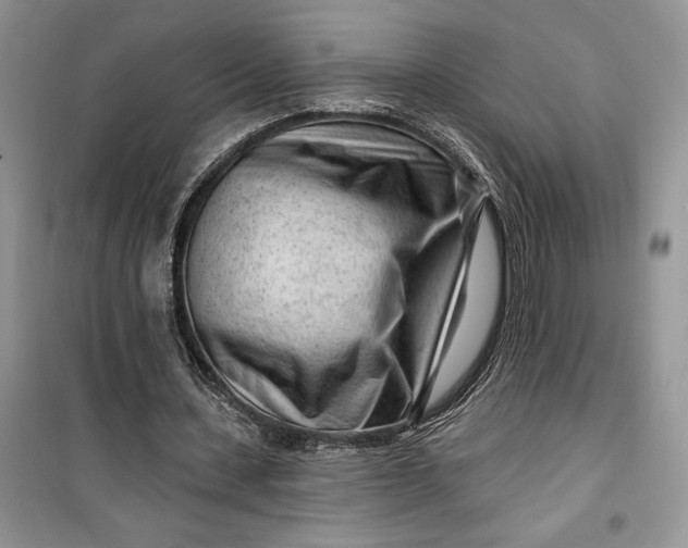 X0000099520531200805291213