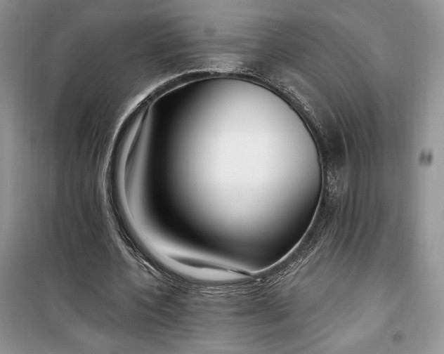 X0000099520532200805291213