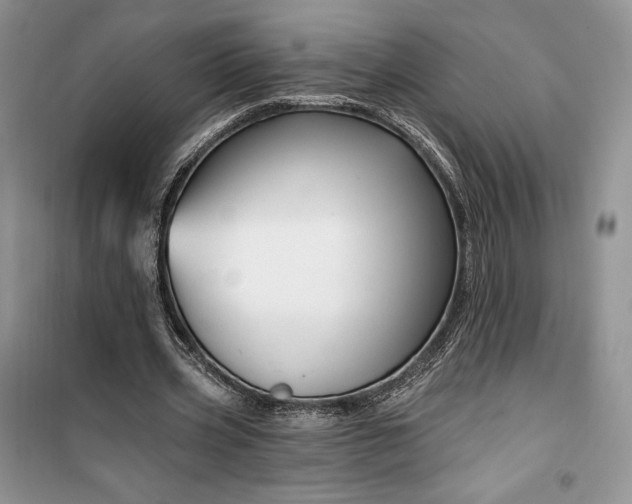 X0000099520533200805291213