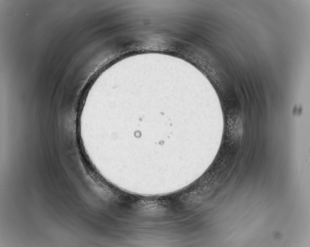 X0000099520534200805291213