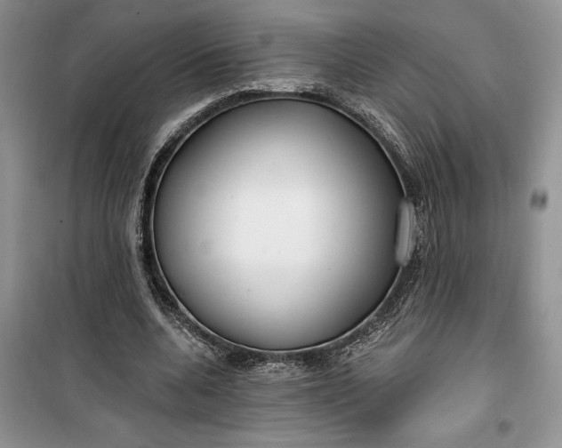 X0000099520536200805291213