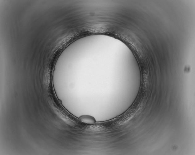 X0000099520541200805291213