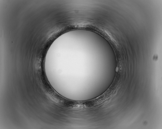 X0000099520543200805291213