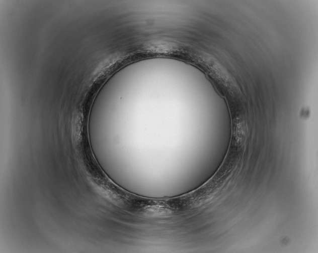 X0000099520544200805291213