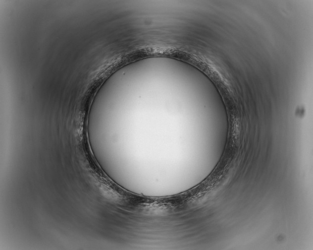 X0000099520545200805291213