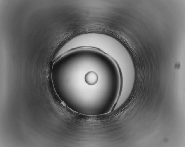 X0000099520546200805291213