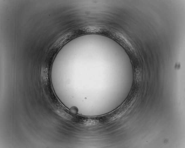 X0000099520549200805291213