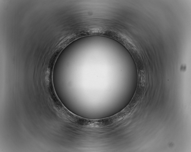 X0000099520550200805291213