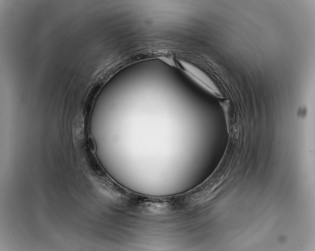 X0000099520552200805291213