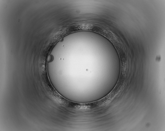 X0000099520553200805291213