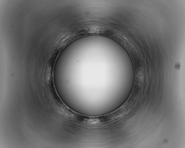 X0000099520554200805291213