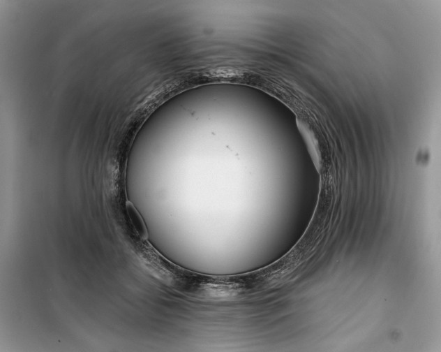 X0000099520556200805291213