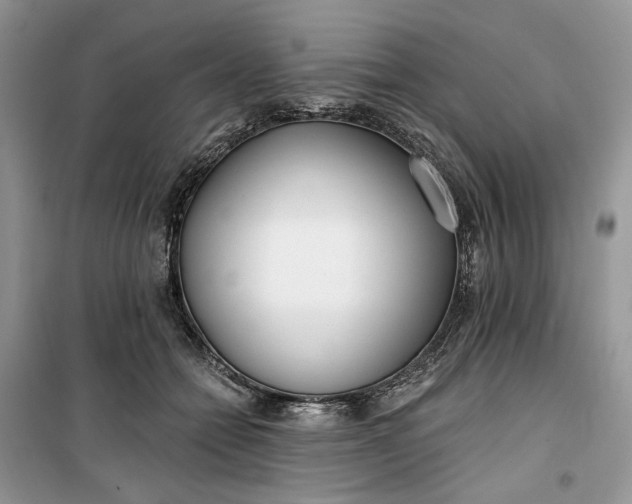 X0000099520558200805291213