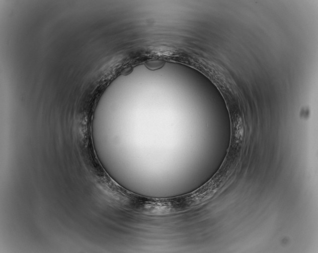 X0000099520559200805291213