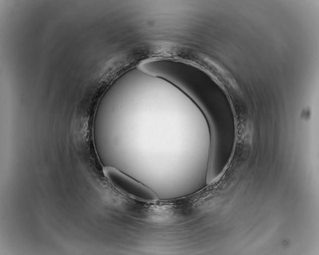 X0000099520560200805291213