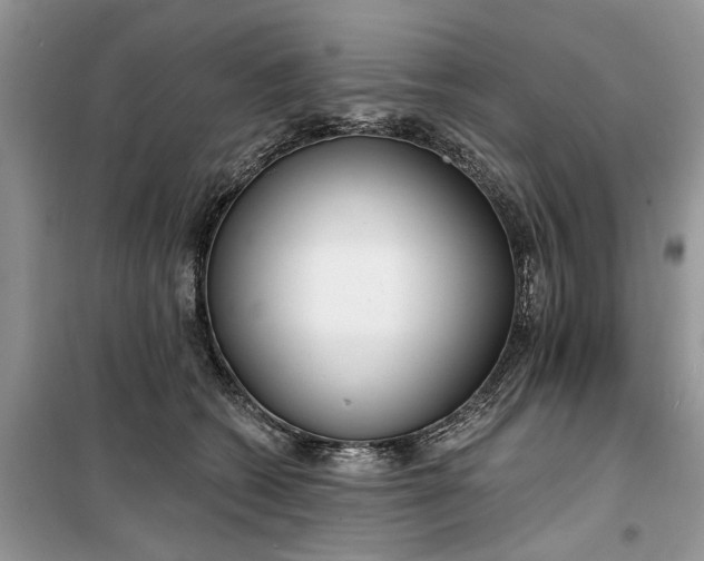 X0000099520562200805291213