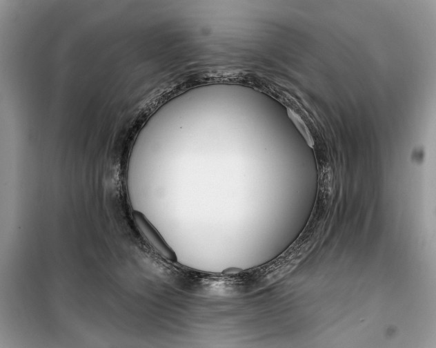 X0000099520564200805291213