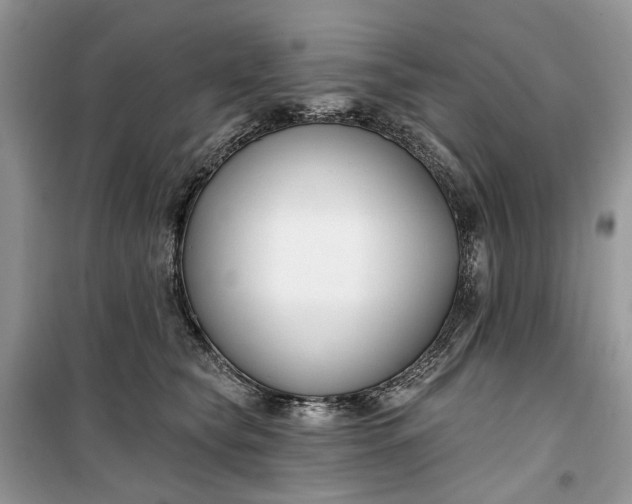 X0000099520565200805291213