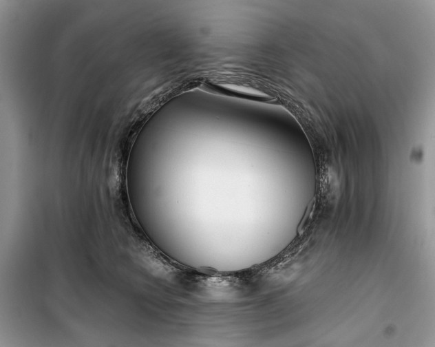 X0000099520566200805291213