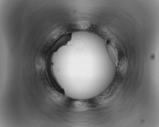 X0000099520568200805291213