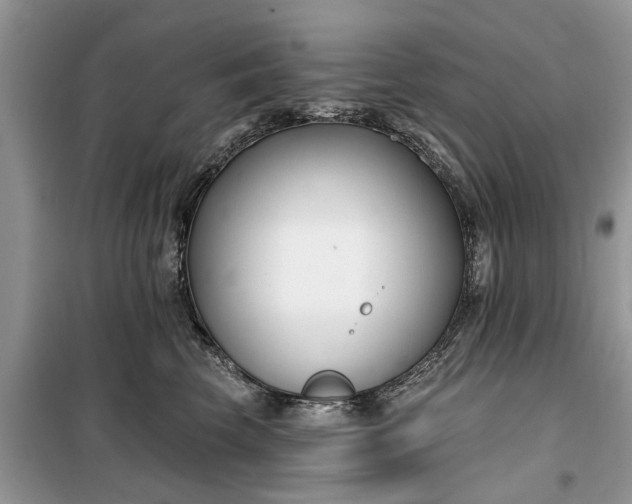 X0000099520569200805291213