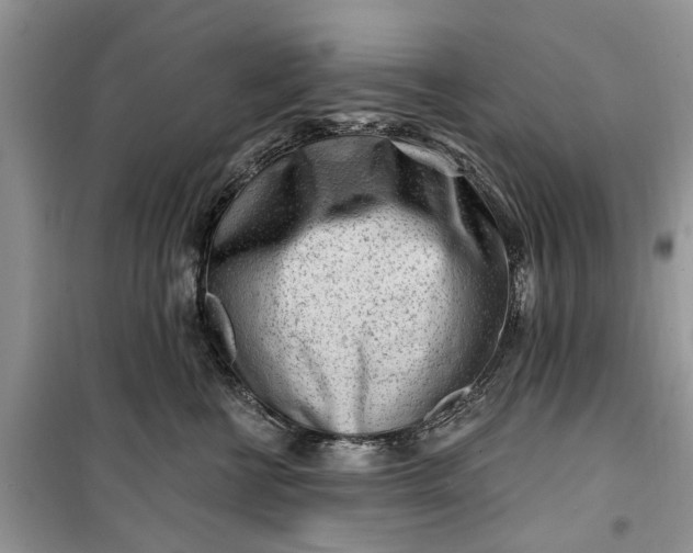 X0000099520570200805291213