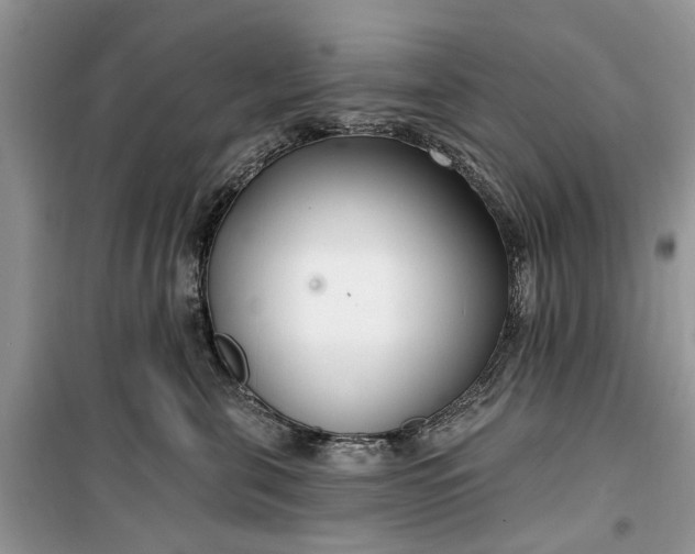 X0000099520571200805291213