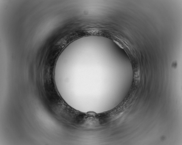 X0000099520572200805291213