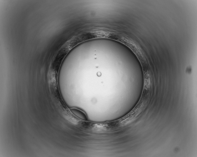 X0000099520573200805291214