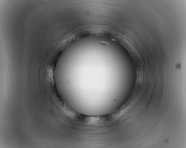 X0000099520575200805291214