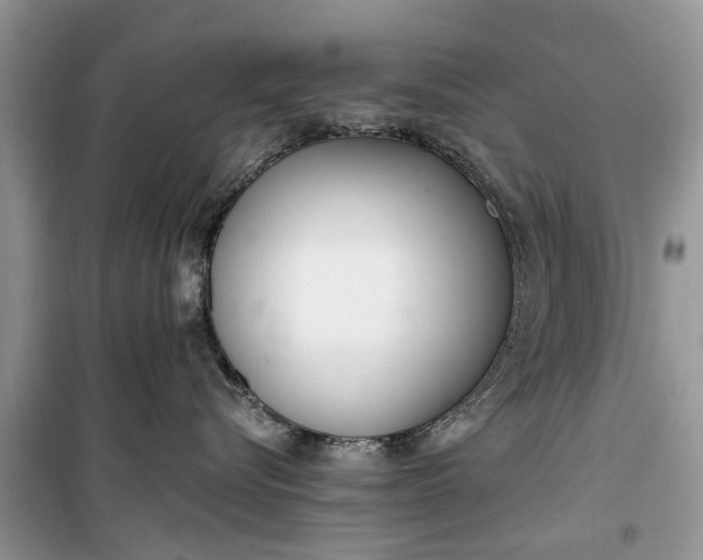 X0000099520576200805291214