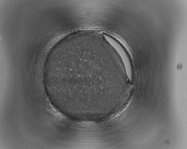 X0000099520577200805291213