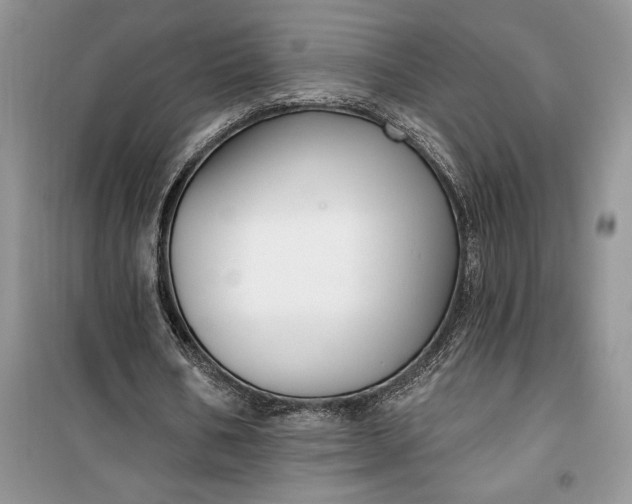 X0000099520578200805291213