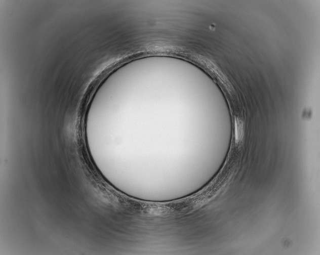 X0000099520579200805291213