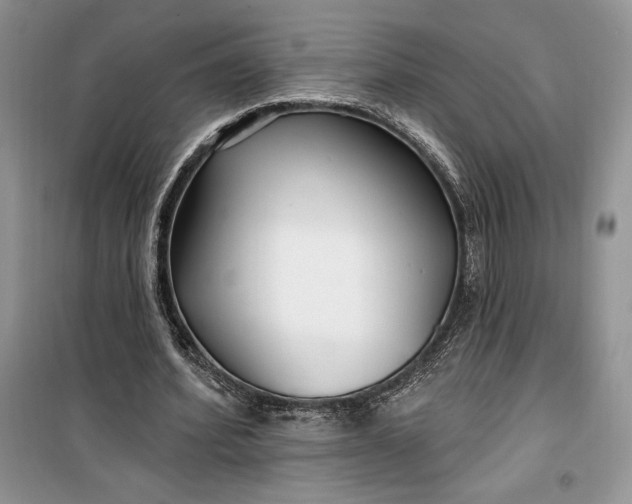 X0000099520580200805291213