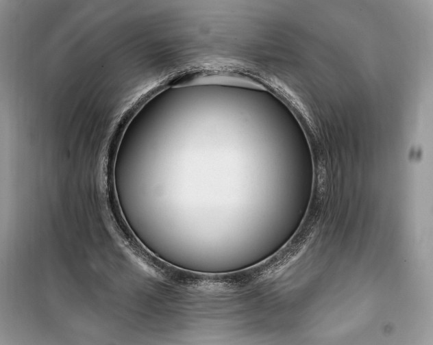 X0000099520581200805291213