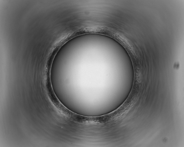 X0000099520586200805291213