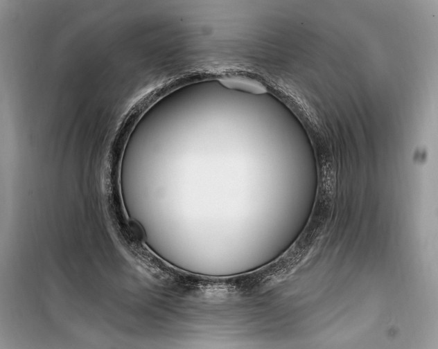 X0000099520587200805291213