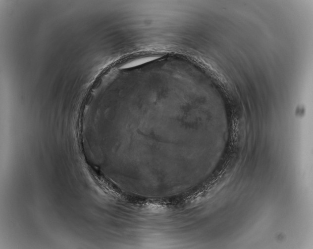 X0000099520592200805291213