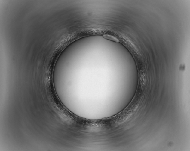 X0000099520593200805291213