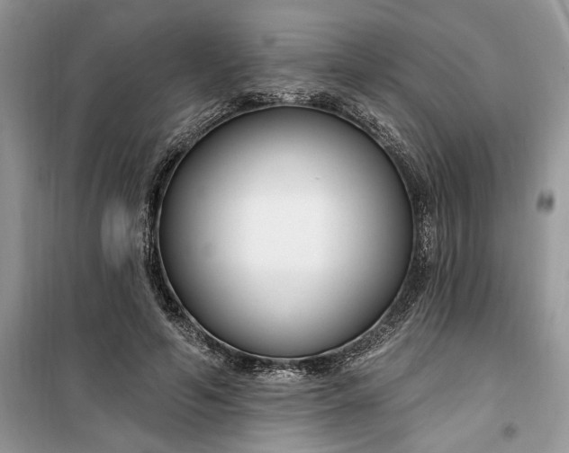 X0000099520594200805291213